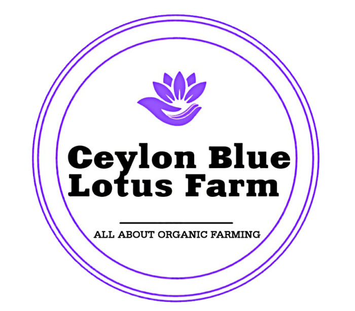 shop-ceylon-blue-lotus-farm